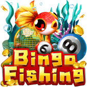 Câu Cá Bingo fly 88