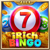 Bingo Irich fly 88